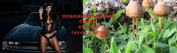 Альфа ПВП Беломорск