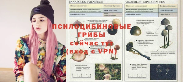 спиды Баксан