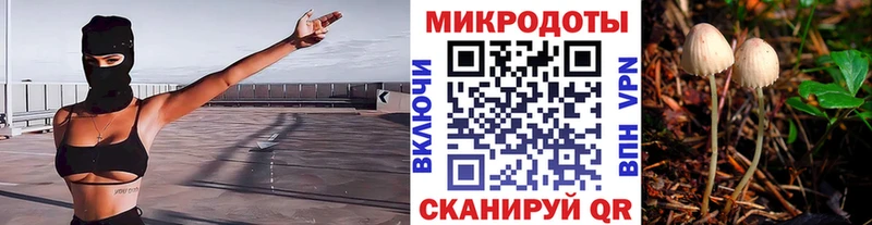 Галлюциногенные грибы мухоморы  Соль-Илецк 